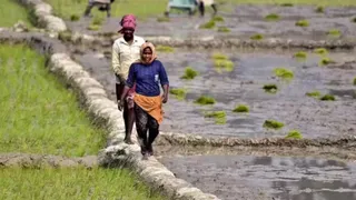 Penalty Up To Rs 30 Lakh, Manufacturing Details Through QR Code: All About Seed Act 2026