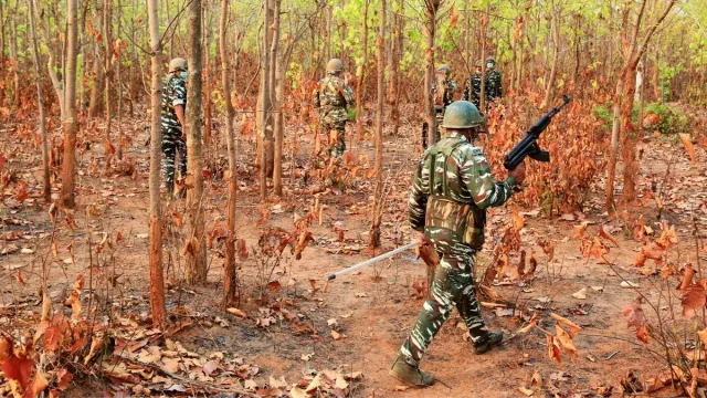 chhattisgarh-maoists-killed-in-bijapur-encounter-ammunition-seized-search-op-underway