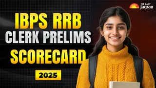 IBPS RRB Clerk Prelims Scorecard 2025 Out: Download RRB Clerk Prelims Scorecard PDF At ibps.in, Check Direct Link Here