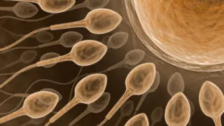 how-winter-lifestyle-changes-can-impact-male-fertility-know-from-doctor