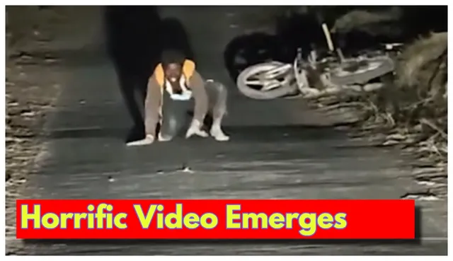 gujarat-man-starts-crawling-on-road-barking-after-bitten-by-dog-what-doctor-said-on-rabies-patients-animal-like-behaviour