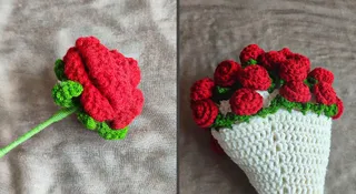 Rose Day 2026: 7 Types Of Roses That Never Wilt And She Can Keep Forever
