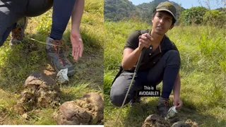 Bengaluru Man Spots Milk Packet In Elephant Dung At Shola Forests, Warns To Protect Animals And Nature