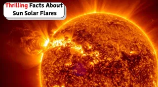 20+ Thrilling Facts About Sun Solar Flares- ISRO Warns India Of Strong Radio Blackout