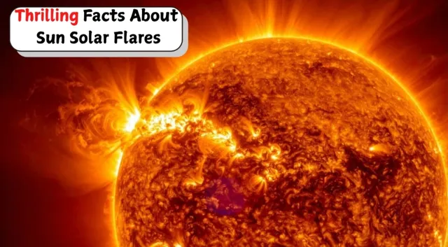 thrilling-facts-about-sun-solar-flares-isro-warns-india-of-strong-radio-blackout