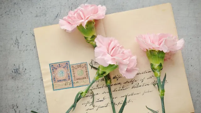 happy-propose-day-2026-romantic-love-letters-that-will-melt-your-partners-heart-instantly