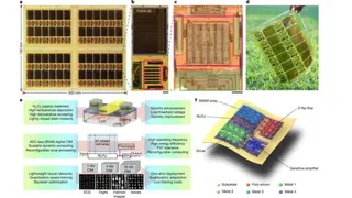 flexible-ai-chip-may-redefine-the-next-generation-of-wearables