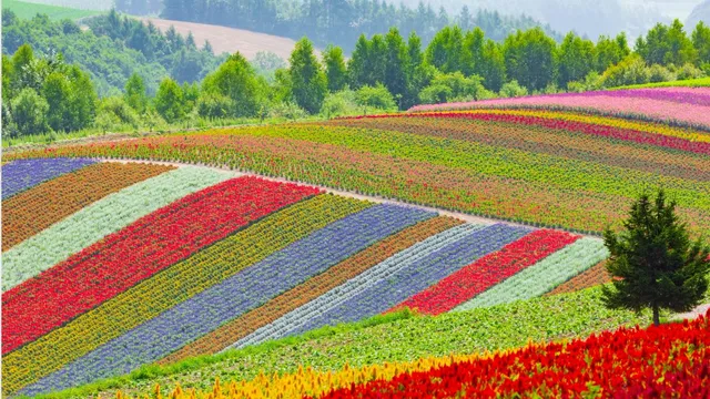 where-is-valley-of-flowers-located-in-india-know-its-exact-location-facts-and-best-time-to-visit