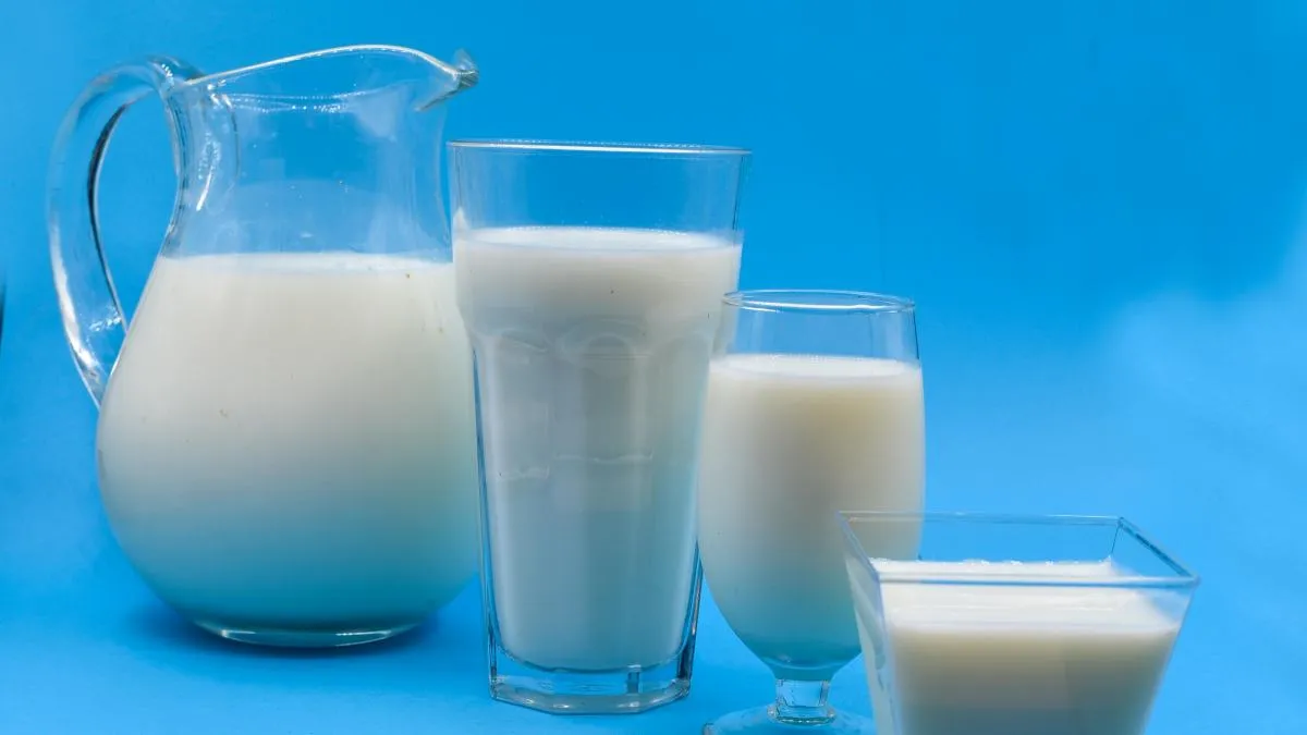 Is Packaged Milk Safe Viral Lab Report Claims High Coliform Levels In ...