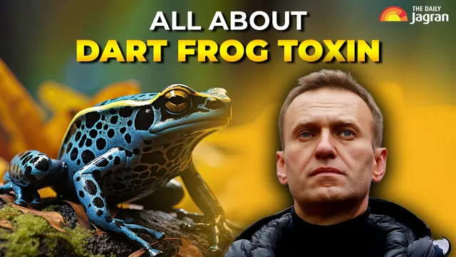 what-is-dart-frog-toxin-poison-allegedly-used-to-kill-putins-critic-alexei-navalny