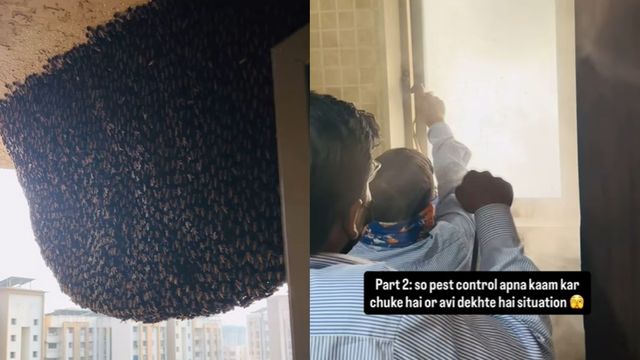 mumbai-woman-calls-pest-control-to-remove-bee-hive-outside-31st-floor-internet-says-call-beekeeper-instead