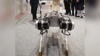 Meet Param: India’s Own Robodog That Shows Galgotias Chinese Bot How It's Done