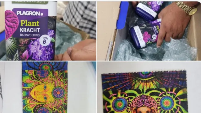from-tihar-to-darknet-how-team-kalki-ran-a-panindia-drug-network-via-encrypted-apps