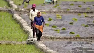 PM-KISAN 22nd Installment: Govt Announces Date For Transfer Of Rs 2,000 Into Farmers’ Account; Full Details