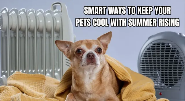 7-smart-ways-to-keep-your-pets-cool-with-summer-rising