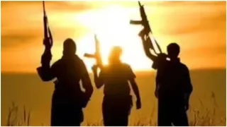 ISIS-Linked Terror Module Busted: Andhra Police Uncover 'Khawateen' Women's Wing And Pakistan Ties