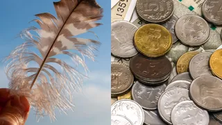 Why Randomly Finding Coins And Feathers Is Considered Lucky And Auspicious?