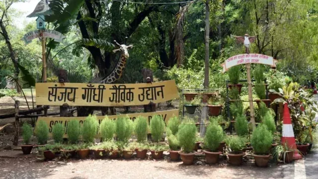 bihar-government-drops-sanjay-gandhi-name-from-patna-zoo-dairy-technology-institute-new-names-announced