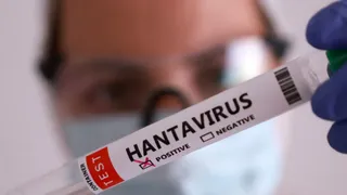 hantavirus-is-gaining-attention-should-indians-be-worried-all-you-need-to-know