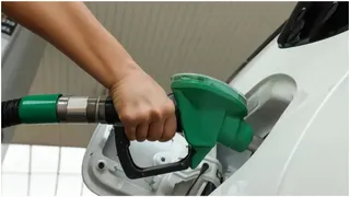 Petrol To Get 30% Ethanol Blend As Centre Notifies E30 Standard