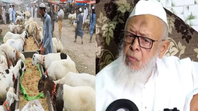 dont-sacrifice-prohibited-animals-jamiat-chief-maulana-arshad-madani-appeals-to-muslims-ahead-of-eidulazha