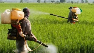 Why This Is The Right Time To Reform India's Fertiliser Sector