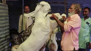 thane-violence-scuffle-breaks-out-over-sacrificial-goats-recitation-of-hanuman-chalisa-ahead-of-bakrid