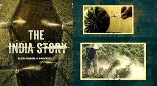 The India Story Teaser Out: Shreyas Talpade And Kajal Aggarwal’s Movie Highlights India’s Food Adulteration Crisis
