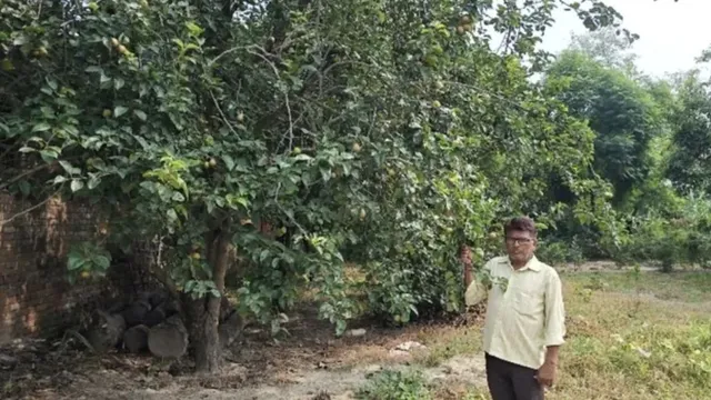 bihar-farmer-successfully-cultivates-kashmiri-apples-in-harsh-siwan-heat