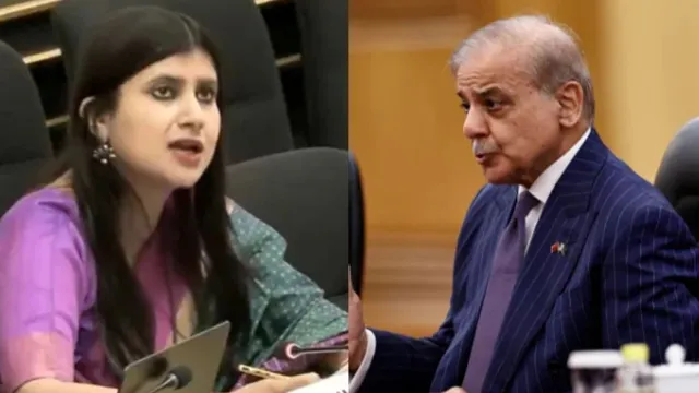 india-slams-pakistan-at-uited-nations-calls-it-frankenstein-state