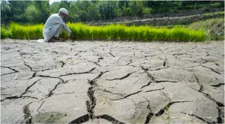 Treat El Niño As An Economic Warning, Not A Weather Report