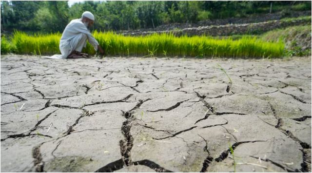 treat-el-nio-as-an-economic-warning-not-a-weather-report