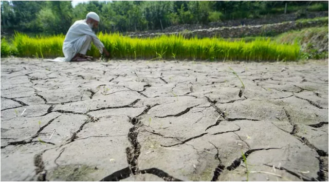 treat-el-nio-as-an-economic-warning-not-a-weather-report