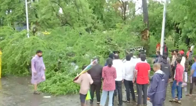 pune-monsoon-havoc-heavy-rain-strong-winds-uproot-over-100-trees-one-injured-tourist-advisory-issued