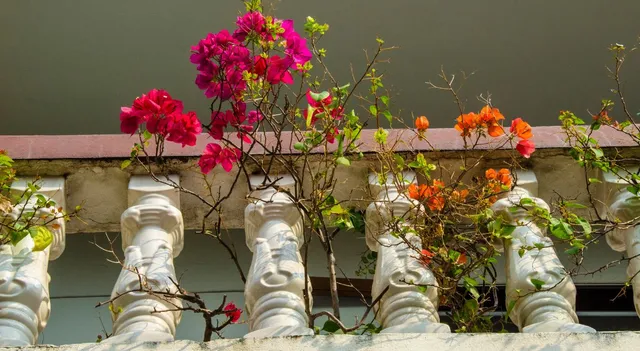 railing-plant-decor-ideas-to-amp-up-your-balcony