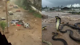 china-floods-cars-swept-away-snakes-loose-after-typhoons-viral-videos