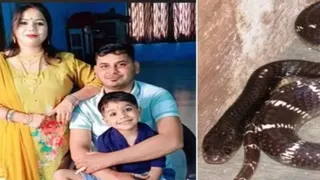 meerut-horror-wife-lover-arrested-for-using-venomous-snake-to-kill-husband-over-rs-20-lakh-insurance