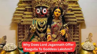 Niladri Bije Explained: Why Does Lord Jagannath Offer Rasgulla To Goddess Lakshmi?