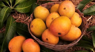 National Mango Day: Why The 'King Of Fruits' Still Rules India's Heart, Culture And Economy
