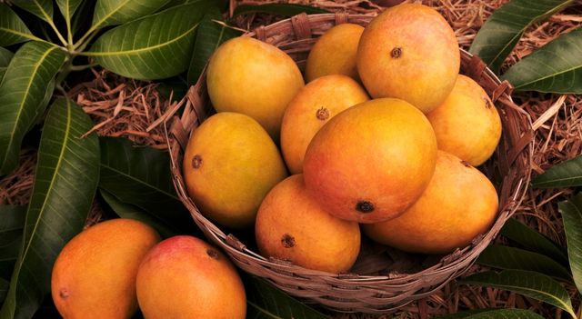 national-mango-day-why-the-king-of-fruits-still-rules-india-heart-culture-and-economy