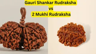 gauri-shankar-rudraksha-vs-2-mukhi-rudraksha-which-one-should-you-wear-for-marriage