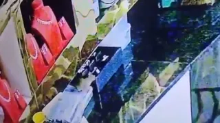Gold Jewellery Worth Rs 10 Lakh Stolen From Karnataka Store; CCTV Gives Shocker After Rat Turns Out To Be 'Thief' | Watch