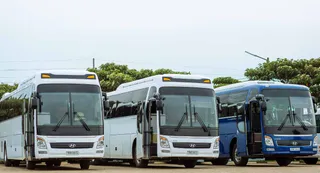 Heading To Kashi Vishwanath This Sawan? Buses From Prayagraj Will Now Run Every 20 Minutes | Details
