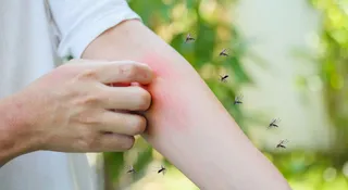 How To Protect Yourself From Mosquitoes In Monsoon Season When Out In The Evening