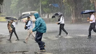 Weather Update: IMD Issues Heavy Rain Alert For UP, Bihar, Other States; Check 2-Day Forecast For Delhi-NCR