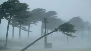 Odisha Weather: Heavy Rain Alert In Mayurbhanj, Keonjhar Till August 10; Check Forecast