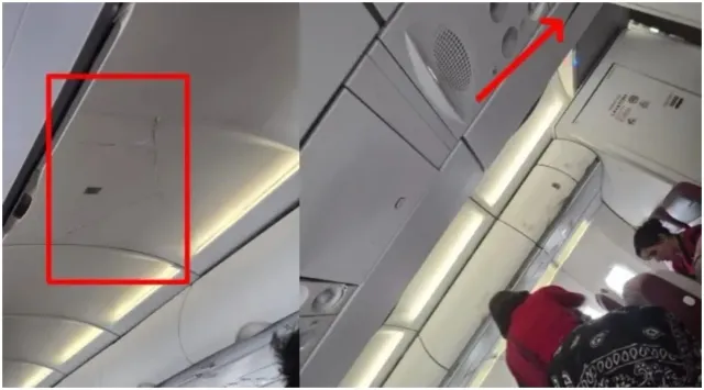 air-india-phuket-delhi-turbulence-probe-to-include-airbus-international-aviation-experts