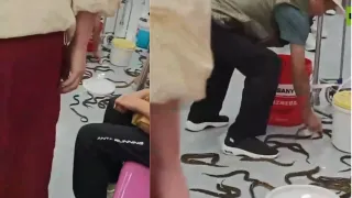 bucket-full-of-snakes-spills-inside-metro-in-china-what-passenger-did-next-will-leave-you-in-shock-watch