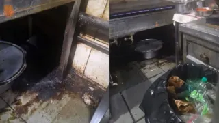 rats-cockroaches-open-drains-maharashtra-fda-suspends-malad-hotels-licence-over-severe-hygiene-violations