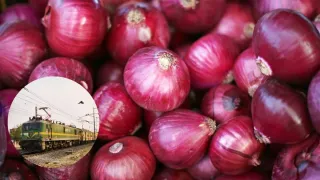 onion-prices-up-59-pc-govt-ramps-up-kanda-express-supplies-to-cool-market-key-details